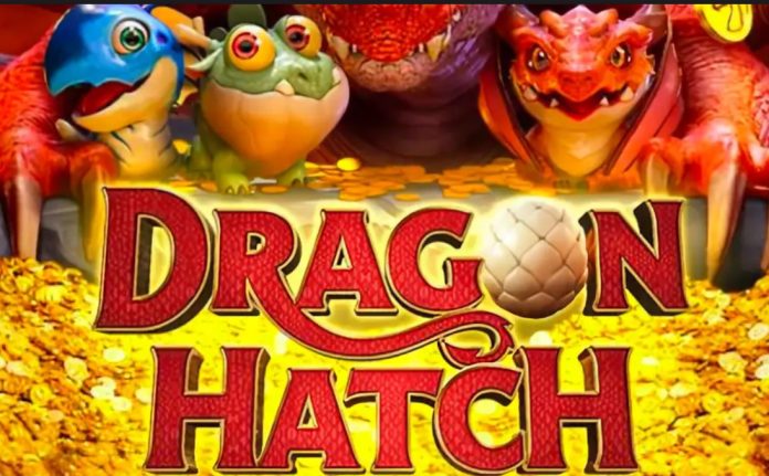 Dragon Hatch Hidden Gems