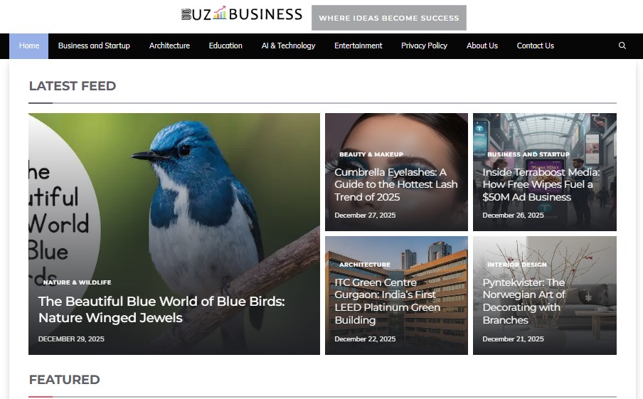 Buz Business
